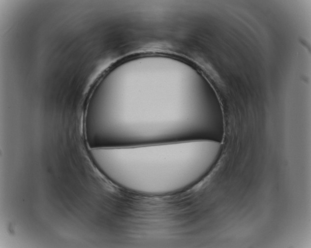 X0000097921224200803141024