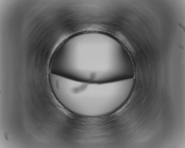 X0000097921232200803141024