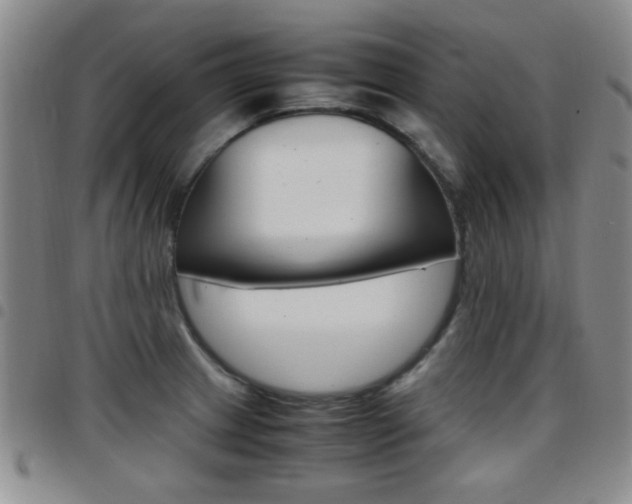 X0000097921233200803141024
