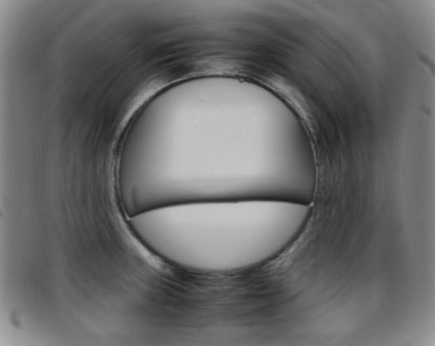 X0000097921235200803141024