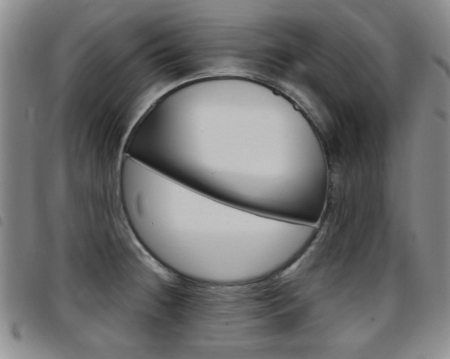 X0000097921236200803141024