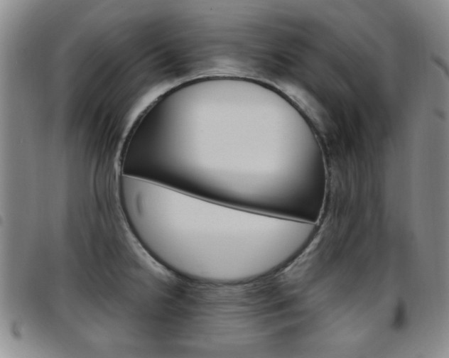 X0000097921238200803141024