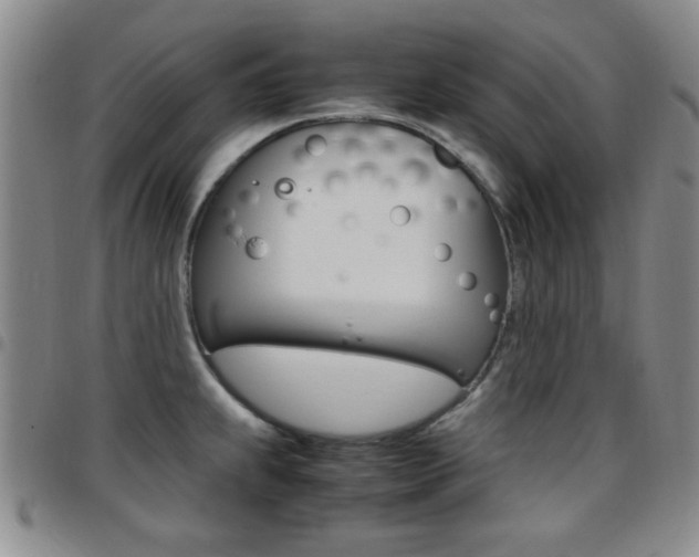 X0000097921239200803141024