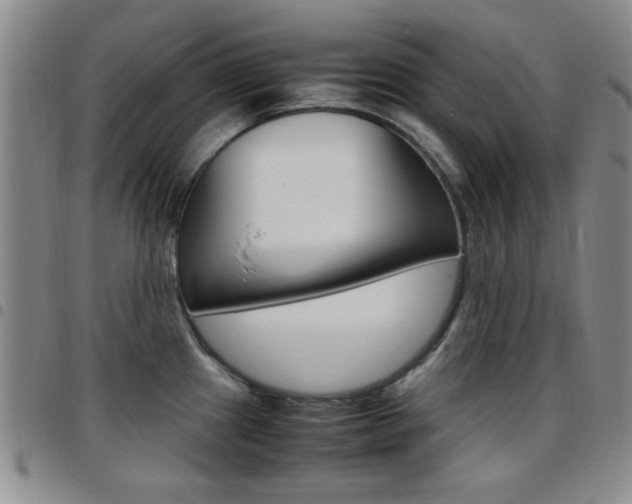 X0000097921241200803141024