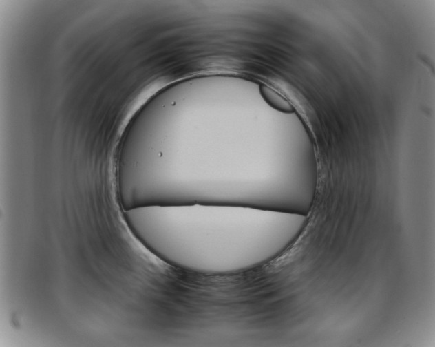 X0000097921243200803141024