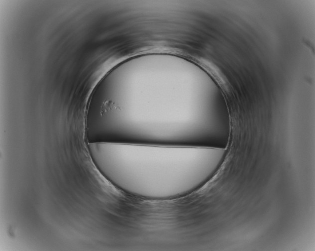 X0000097921244200803141024