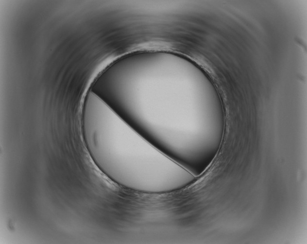 X0000097921248200803141024