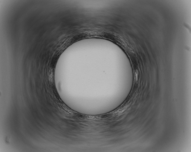 X0000097921251200803141023