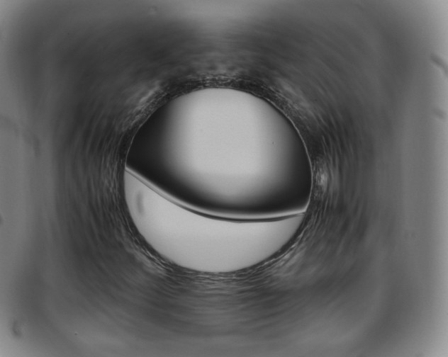 X0000097921252200803141023