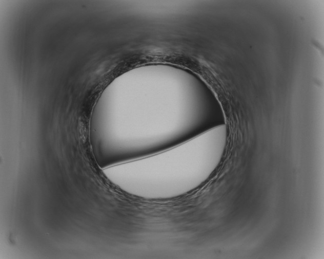 X0000097921253200803141023