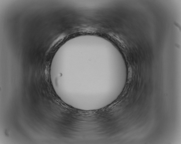 X0000097921254200803141023