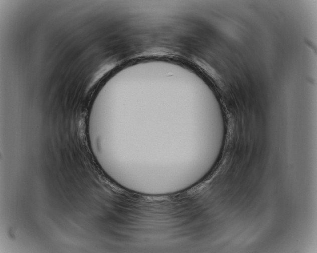 X0000097921258200803141023