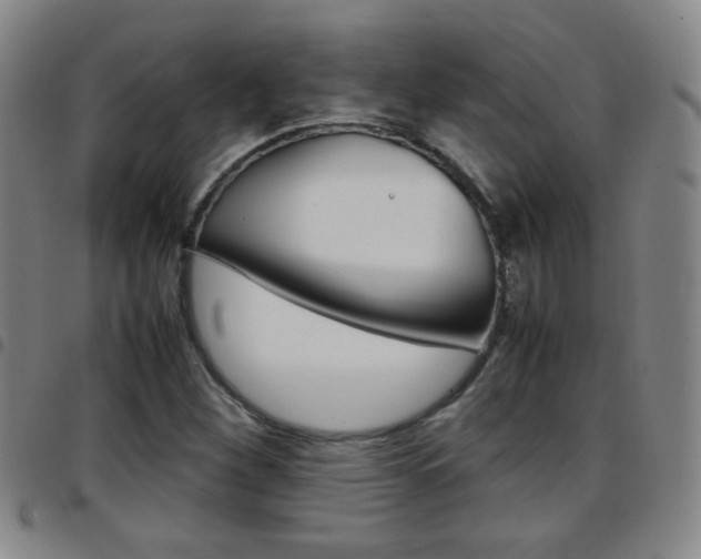X0000097921260200803141023