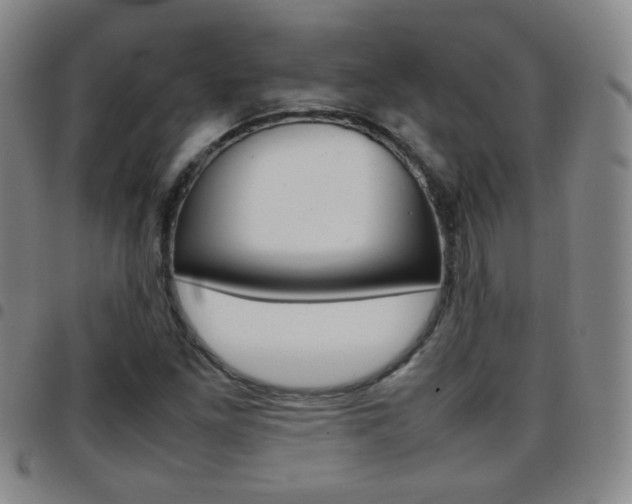 X0000097921261200803141023