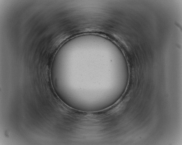 X0000097921265200803141023
