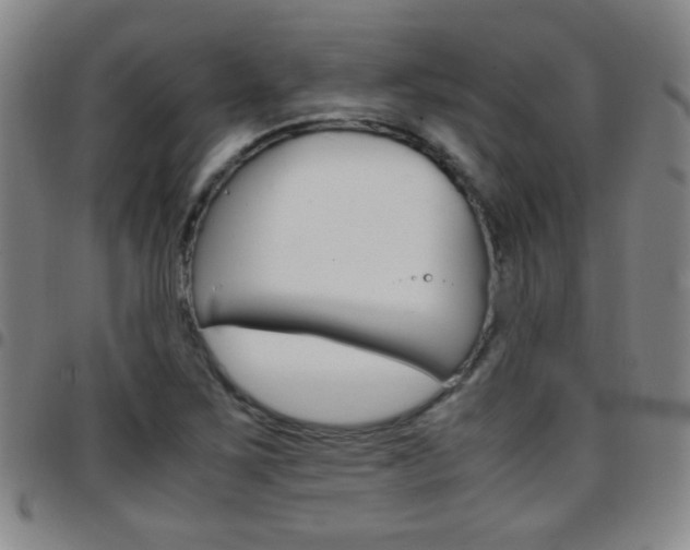 X0000097921267200803141023