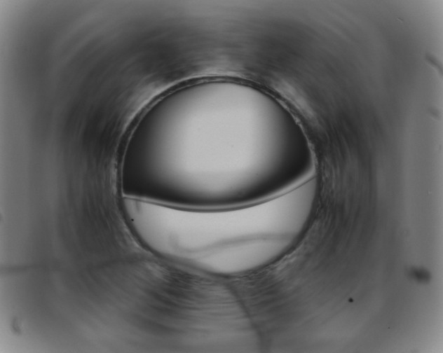 X0000097921268200803141023