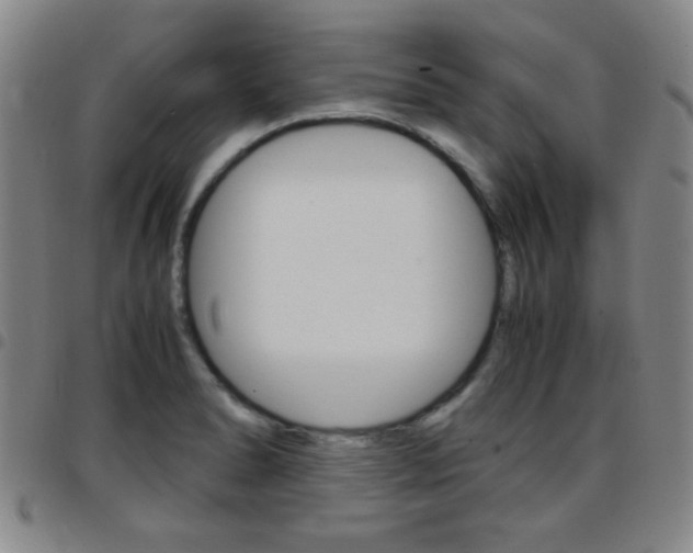 X0000097921278200803141023