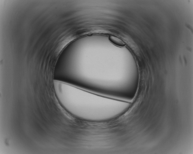 X0000097921281200803141023