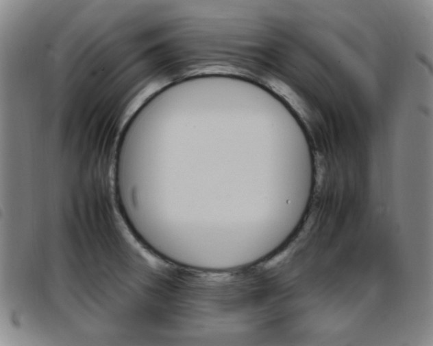 X0000097921282200803141023