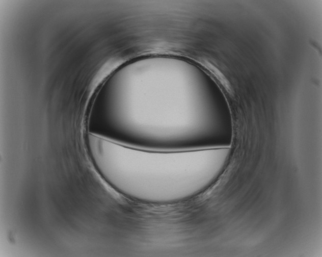 X0000097921285200803141023