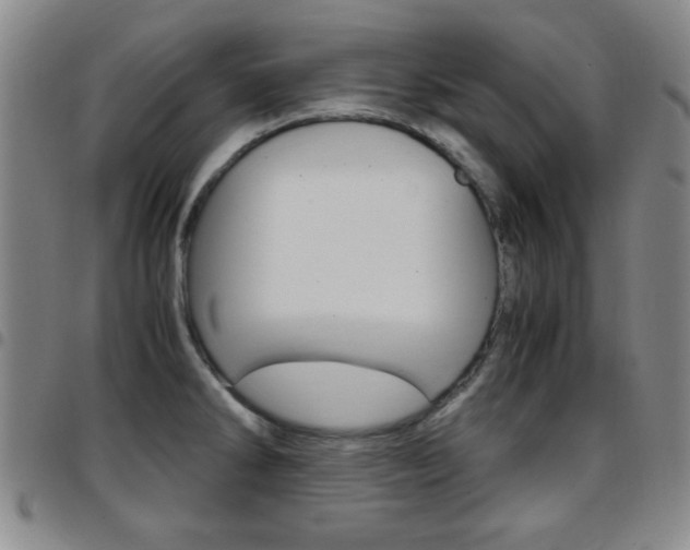 X0000097921286200803141023