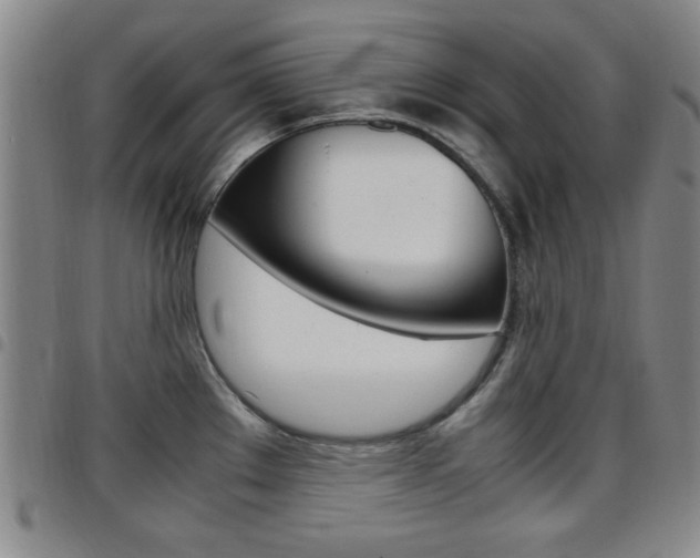 X0000097921289200803141023