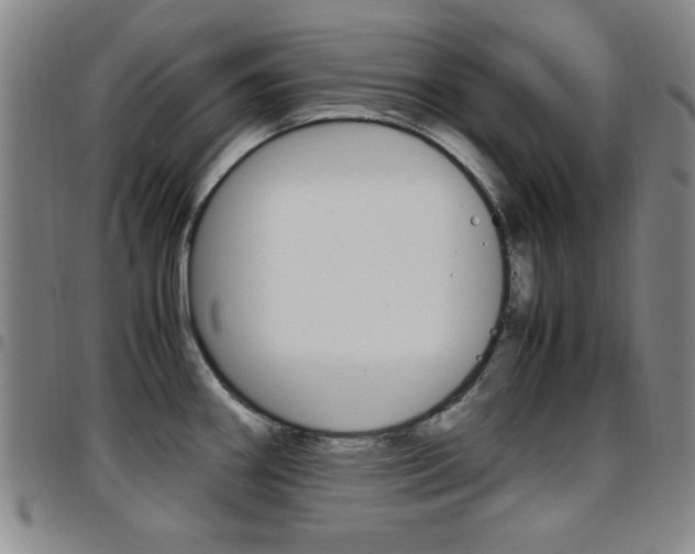 X0000097921290200803141023