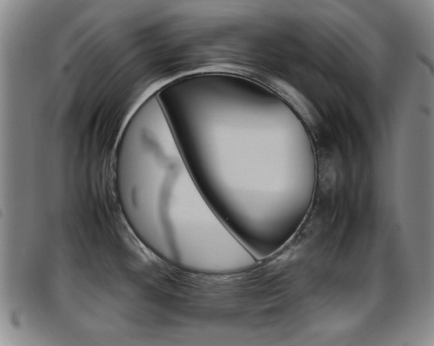 X0000097921292200803141023