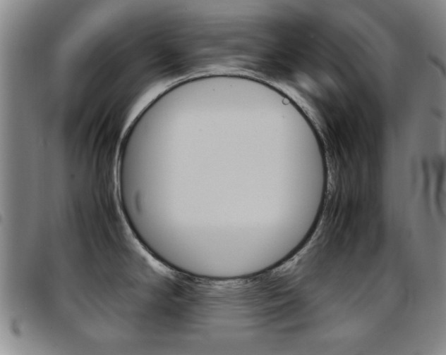 X0000097921294200803141023