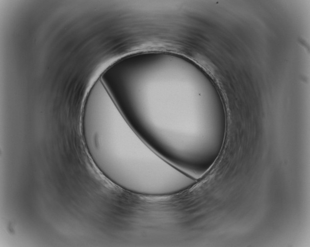 X0000097921296200803141023