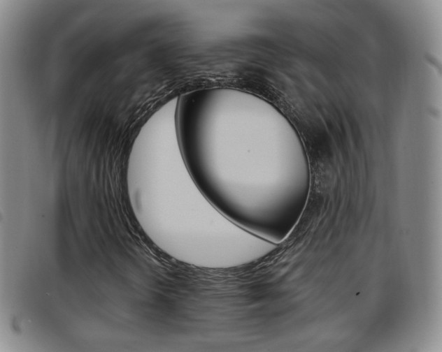 X0000097921298200803141022