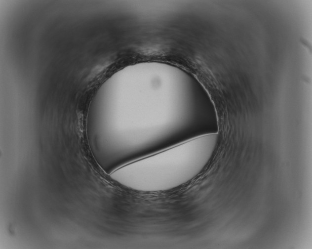 X0000097921301200803141022
