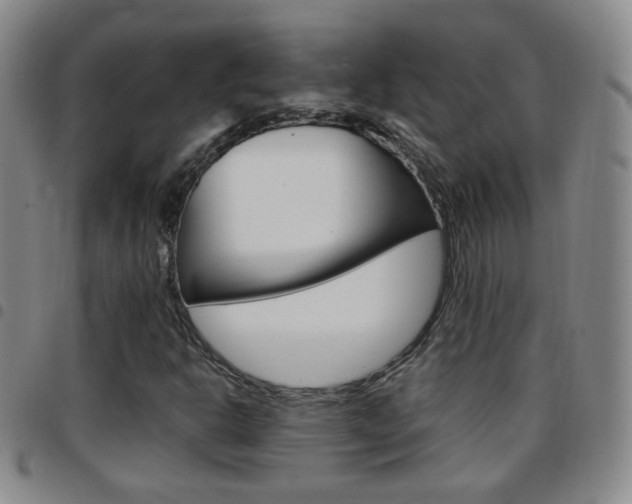 X0000097921302200803141022