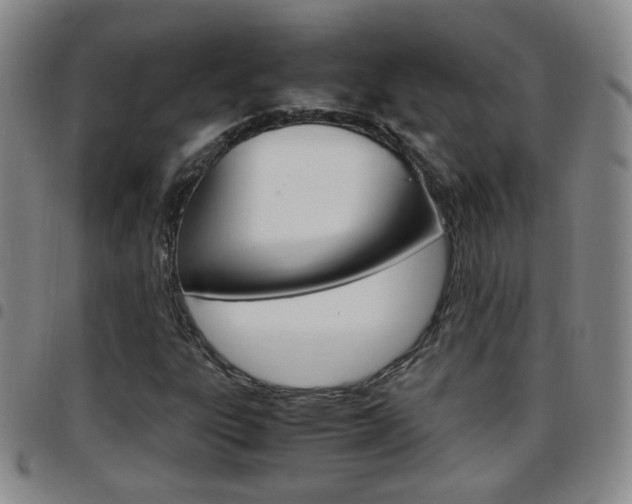 X0000097921303200803141022