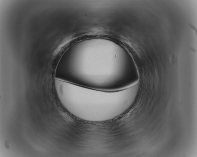 X0000097921304200803141022