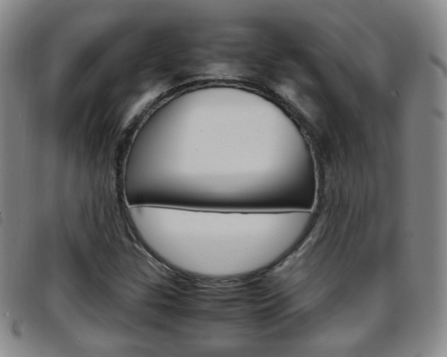 X0000097921307200803141022