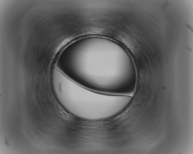 X0000097921308200803141022