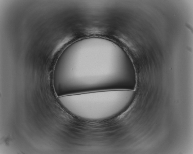 X0000097921309200803141022