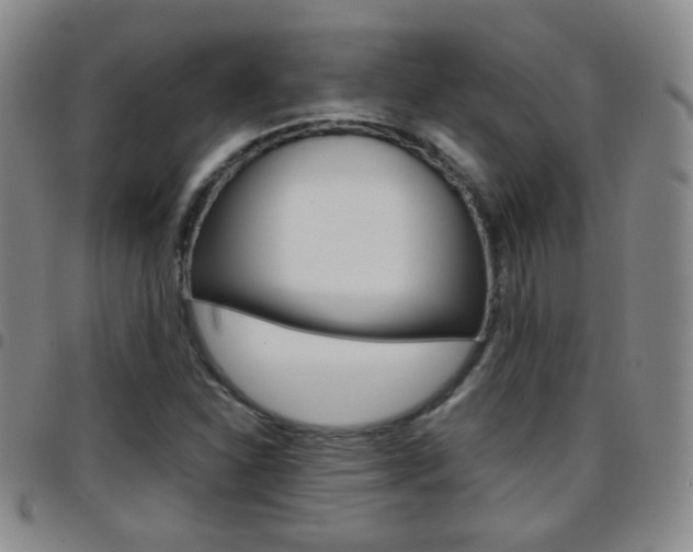 X0000097921310200803141022