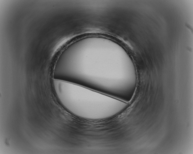 X0000097921311200803141022