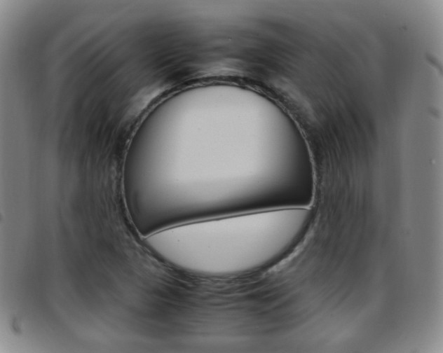X0000097921313200803141022