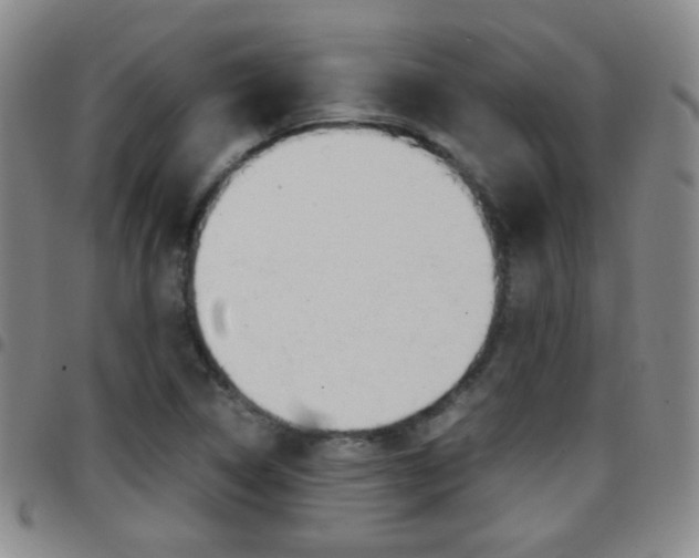 X0000097921314200803141022
