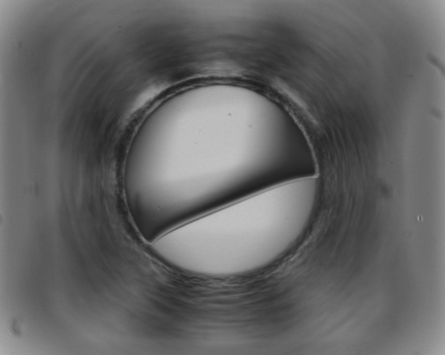 X0000097921315200803141022