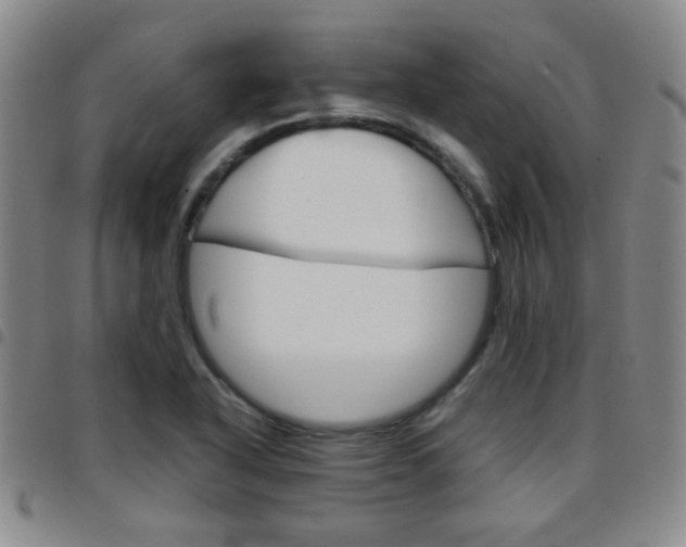 X0000097921318200803141022