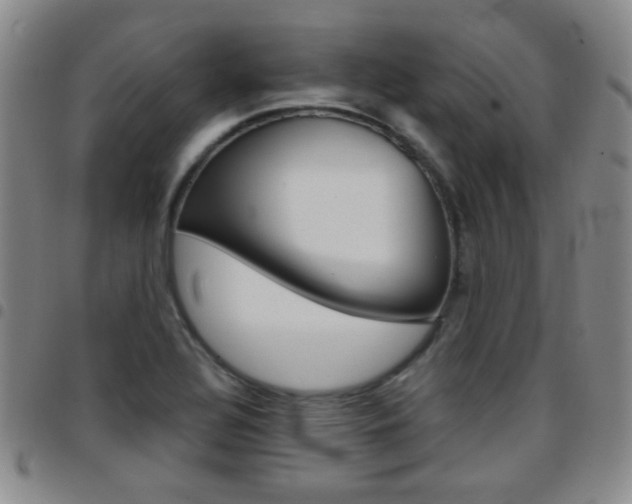 X0000097921320200803141022