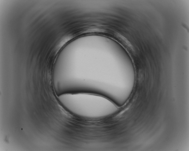 X0000097921321200803141022