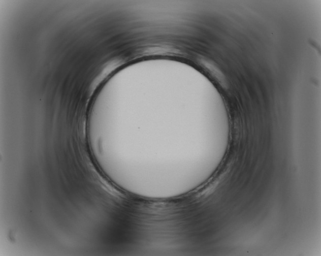 X0000097921322200803141022