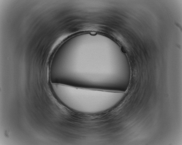 X0000097921323200803141022