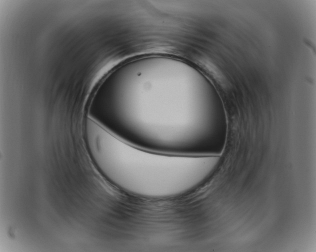 X0000097921324200803141022